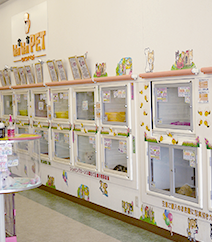 ワイワイペットについて ワイワイペット